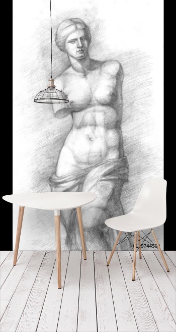 Bild på Aphrodite of Milos - Venus - vintage illustration